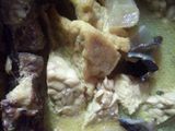 Kotokan tahu tempe + ikan pe (pari)