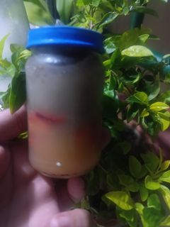 Una foto de Rápido de Chía y Fresas