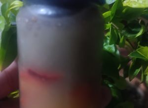 Una foto de Rápido de Chía y Fresas