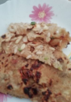 A picture of Dry fruits Paratha.