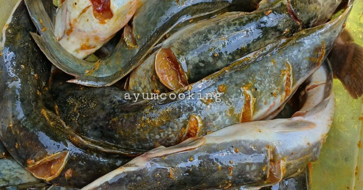 Meal Prep Lele Goreng (Stock Frozen)