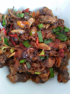 Foto resep Tumis Kerang Dara