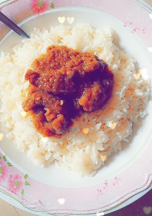 A picture of White rice and stew.