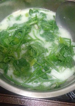Foto resep Sayur pucuk labu santan