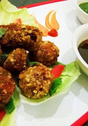 A picture of Crispy Soya Oats Kebab.