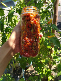 Foto resep 470.Sambal Cumi Asin🦑
