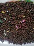 Roasted groundnuts/ njugu karanga