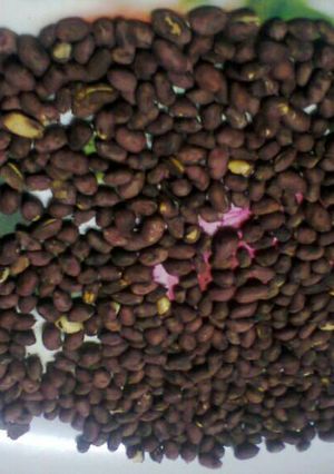 A picture of Roasted groundnuts/ njugu karanga.