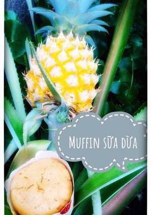 Hình của món Muffin sữa dừa.