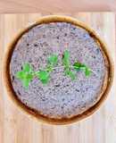 Untable de setas Portobello y nueces 🌱 Pâté vegetariano con opción vegana 🌱