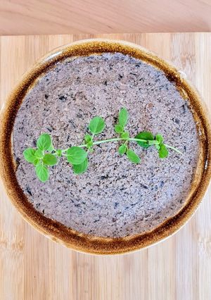 Una foto de Untable de setas Portobello y nueces 🌱 Pâté vegetariano con opción vegana 🌱