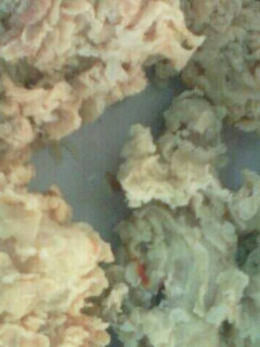 Foto resep Ayam Kentucky