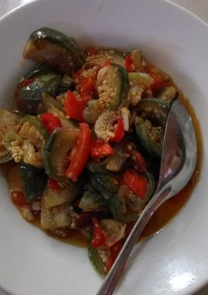 Foto resep Sambel terong bulat