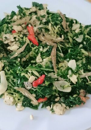 Foto resep Tumis kembang Daun pepaya,Teri dan tempe