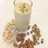 Dry fruit milk