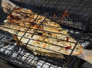 Una foto de Pez corvina a las brazas
