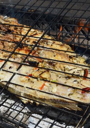 Una foto de Pez corvina a las brazas