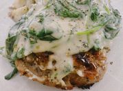 Gambar ayam creamy