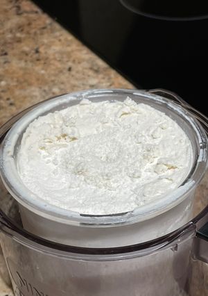 A picture of Creami Coconut ice cream (for the Black Russian milkshake beverage).