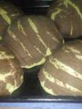 Conchas