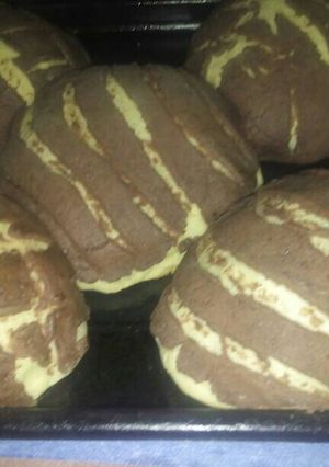 Una foto de Conchas
