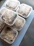 Brownies Lumer Nyoklaat