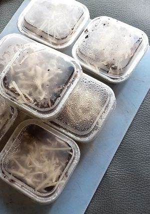 Foto resep Brownies Lumer Nyoklaat