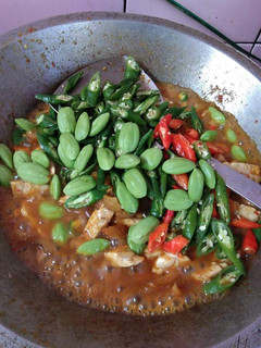 Foto resep Tumis kikil tempe + pete