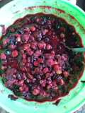 Rujak buah buni BoGor