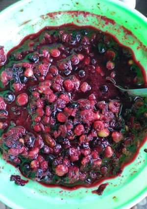 Foto resep Rujak buah buni BoGor