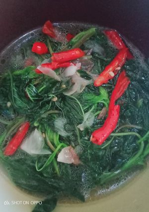 Foto resep Tumis bayam sederhana