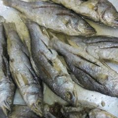 A picture of Fried small fish.