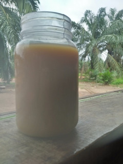 Foto resep Jamu Beras Kencur