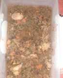 Salsa de pollo