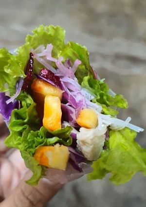 Foto resep Springroll menu diet