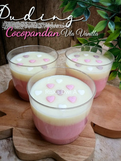 Foto resep Puding Cocopandan Vla Vanilla