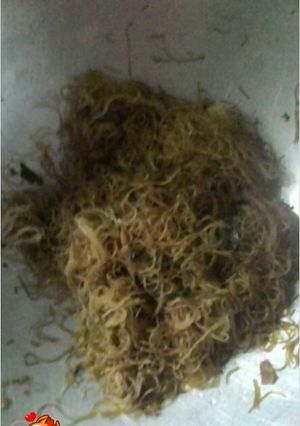 Foto resep Bihun maknyosss