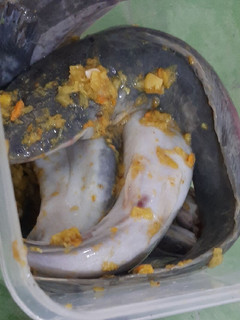 Foto resep Menyimpan Ikan untuk Digoreng di Freezer