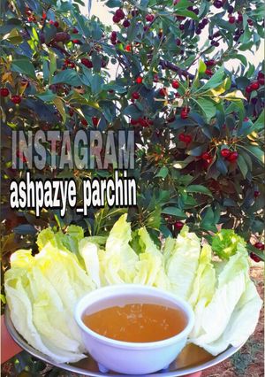 عکسی از دستور سکنجبین خانگی 🌸
