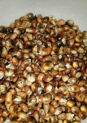 A picture of Ondelo.