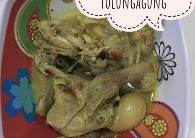 Ayam Lodho Khas Tulungagung