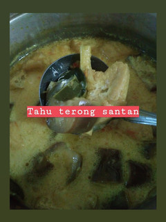Foto resep Santan terong dan tahu