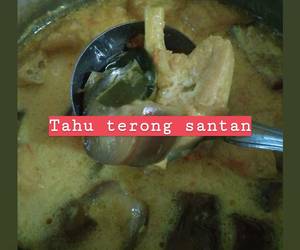 Siap Saji Santan terong dan tahu Ala Rumahan Siap Saji Santan terong dan tahu Ala Rumahan