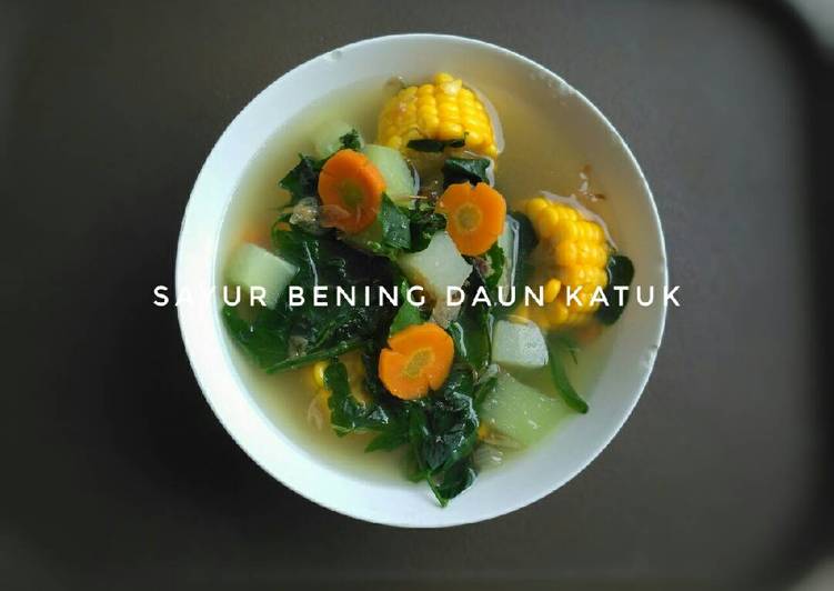 Resep Sayur bening daun katuk yang Lezat