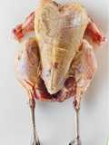California Farm Pheasant in Truffle Butter