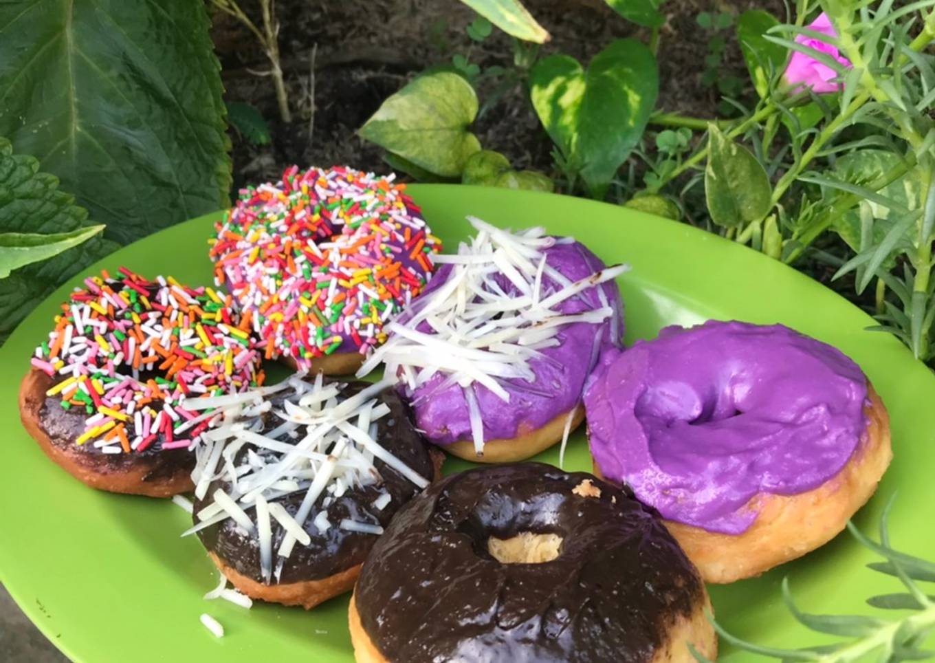 Donat