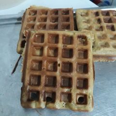 A picture of Waffles.