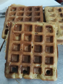 A picture of Waffles.