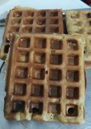 A picture of Waffles.