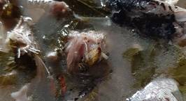Hình ảnh món Đầu cá hú nấu lá bố